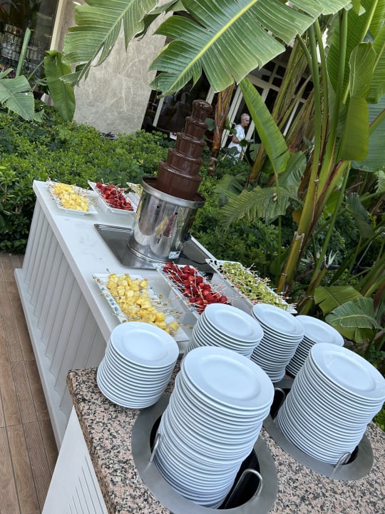 Gastro Sentido Trendy Verbena Beach