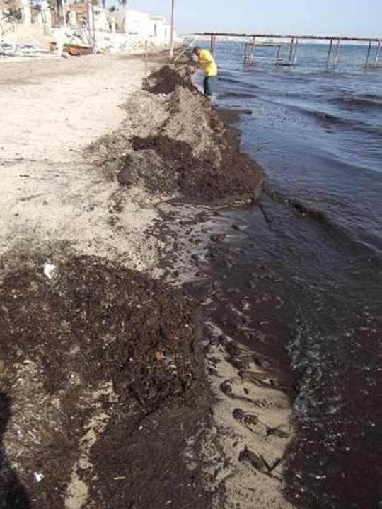 Dreck Alassio Hotel and Thalasso