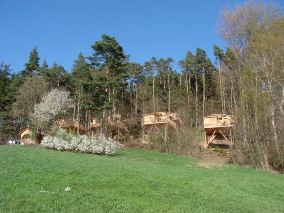 Hotelanlage Baumpalast Baumhaushotel Rosenberg