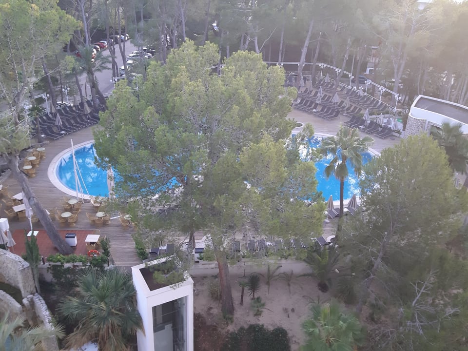 Ausblick allsun Hotel Bella Paguera