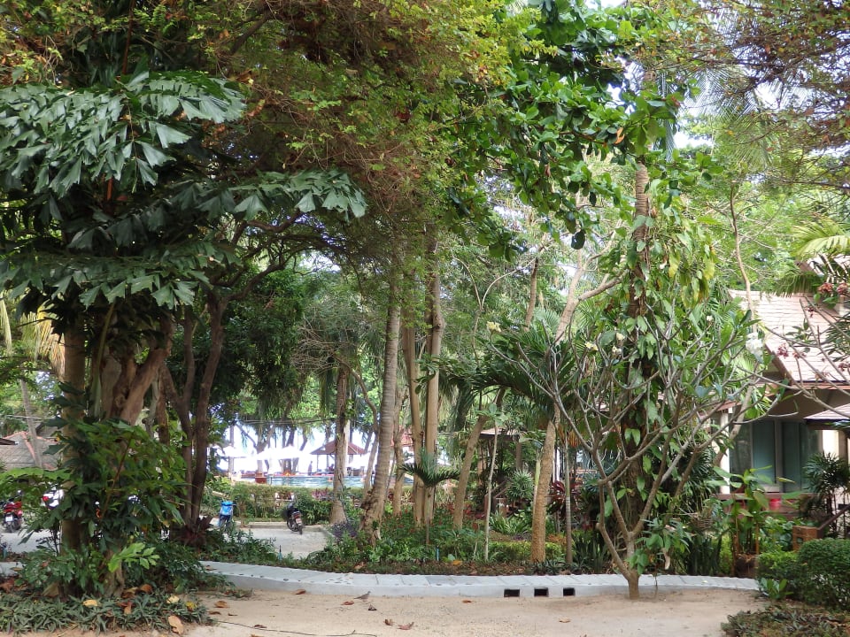 Gartenbereich mit Blick auf Bungalows Palita Lodge