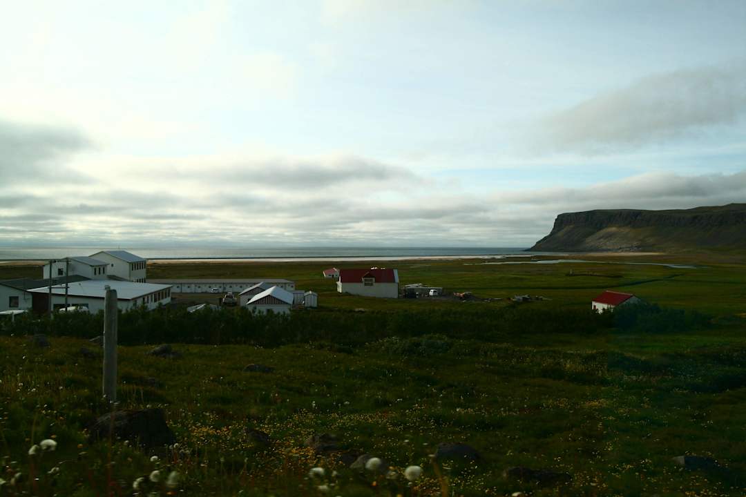 Widok z hotelu Hotel Breidavík