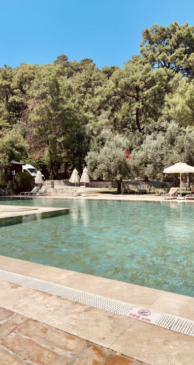 Pool TUI BLUE Seno - Adults Only