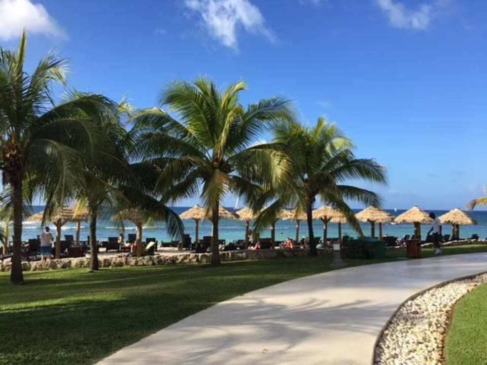 Der Weg zum Strand Secrets Wild Orchid Montego Bay - Adults only