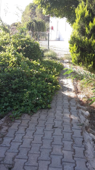 Weg zur Sportanlage  Teos Village