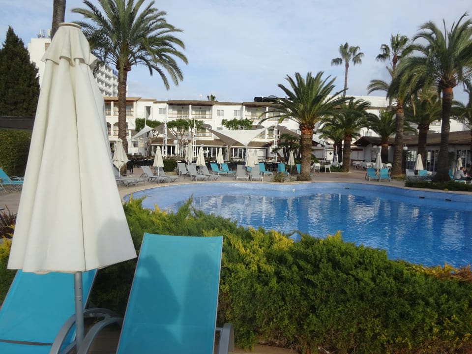 Pool Alcudia Garden Aparthotel