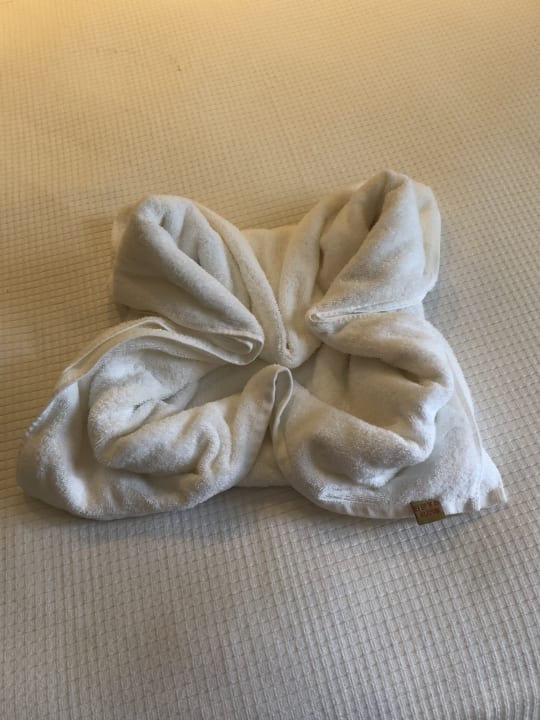 Zimmer TUI BLUE Oceanis Beach and Spa Resort