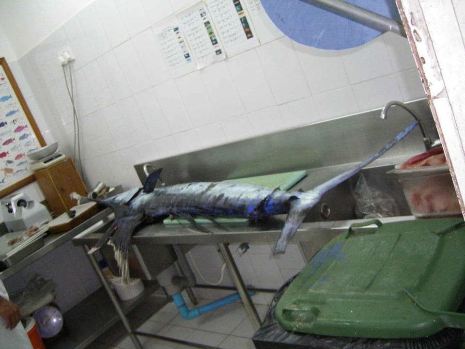 Hochseefischen Kuramathi Maldives