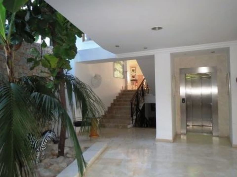 Treppe zum Speiseraum & Pool Hotel Morito