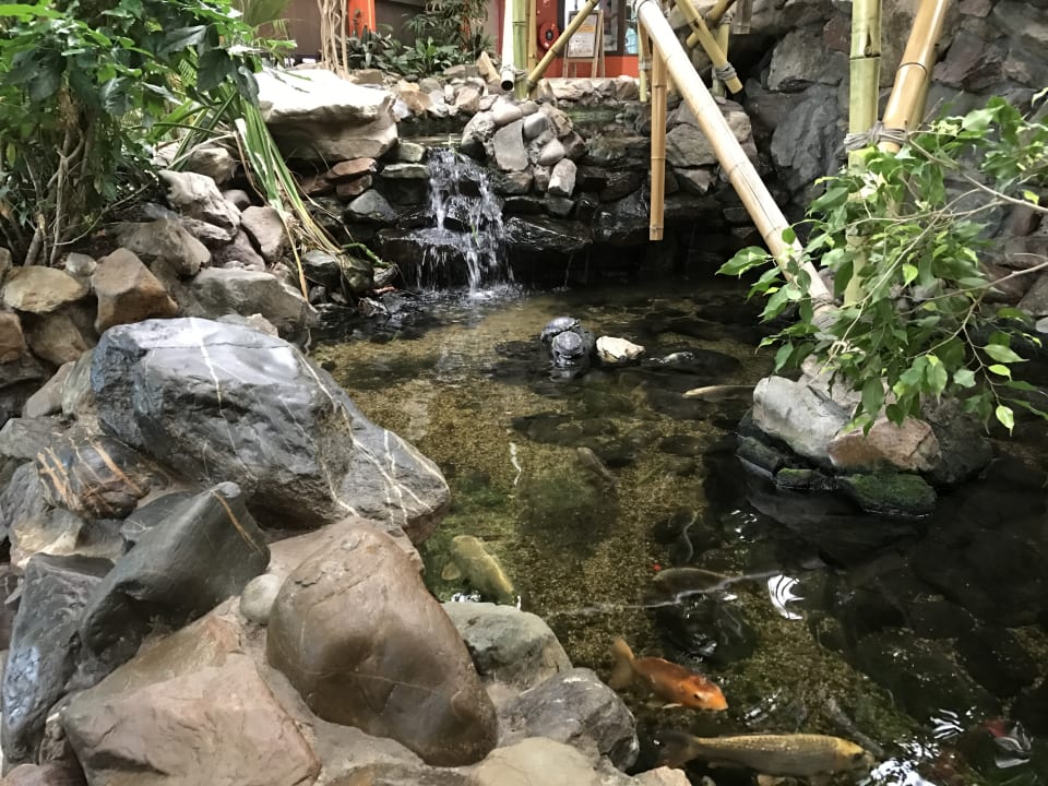 Sport & Freizeit Center Parcs Het Heijderbos