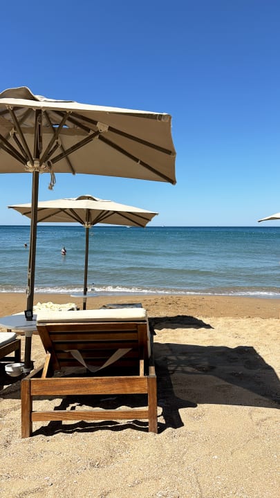 Strand Acanthus Cennet Barut Collection