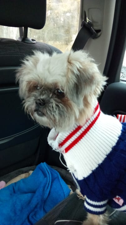 Sonstiges Ferienanlage Vierjahreszeiten