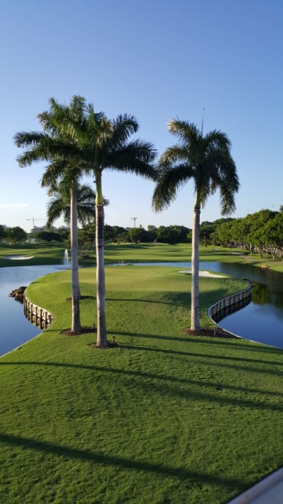 Gartenanlage Boca Raton Resort and Club, A Waldorf Astoria Resort