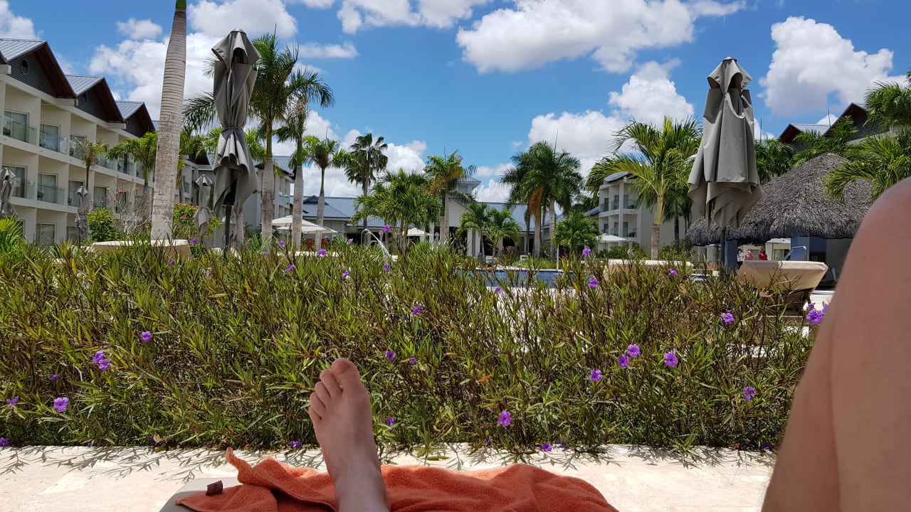 Ausblick Secrets La Romana Resort & Spa - Adult Only