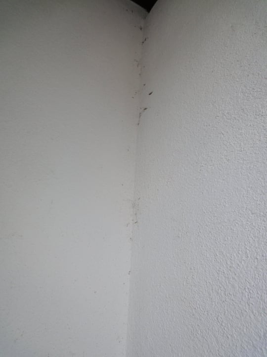 Einmal wieder mit dem Besen rüber und gut wärs Hotel Achentalerhof