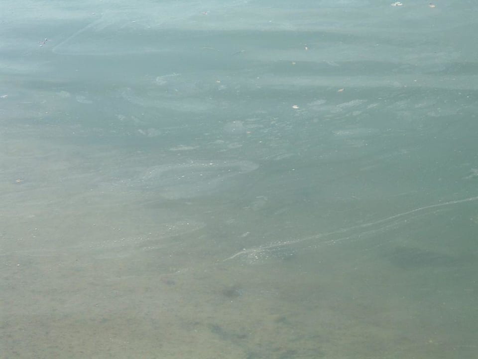 Schwimmen kann so schön sein Blend Club Aqua Resort