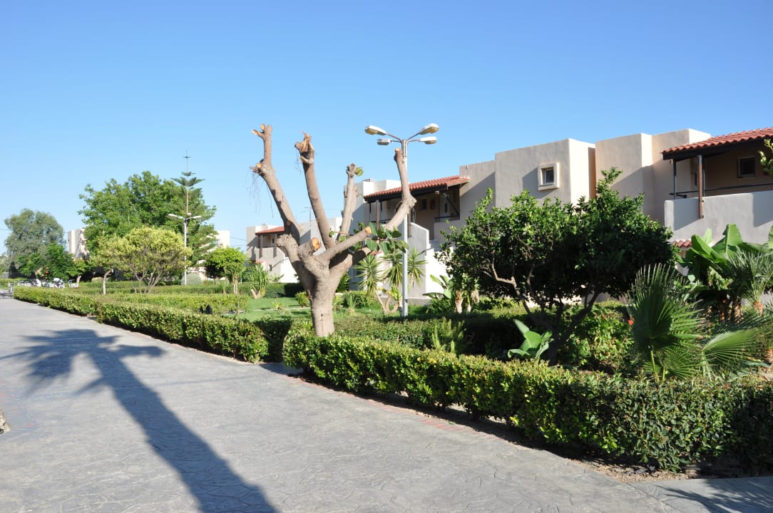 Weitere Gebäude mit Zimmern Ilios K Village Resort