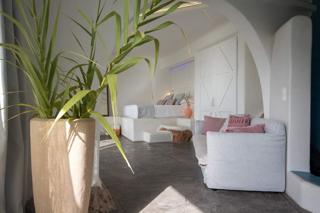 Zimmer Kouros Exclusive