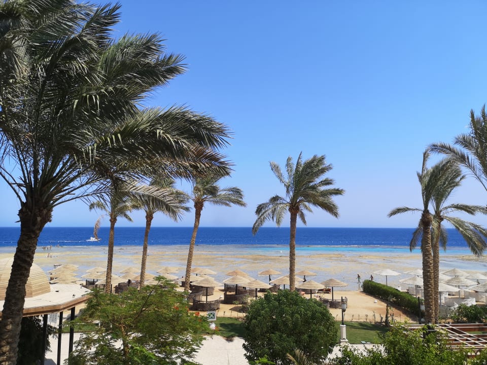 Ausblick Makadi Spa - Adults only