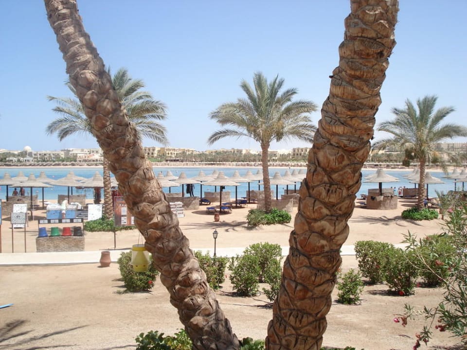 Weg zum Strand Steigenberger Coraya Beach - Adults only