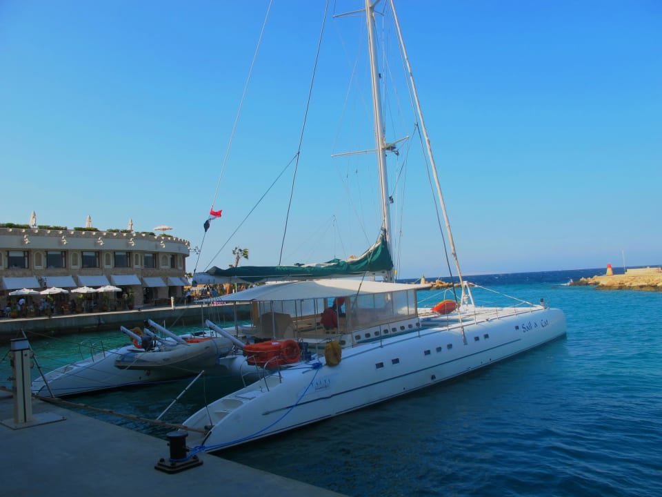 Citadel Azur Resort Pickalbatros Citadel Resort