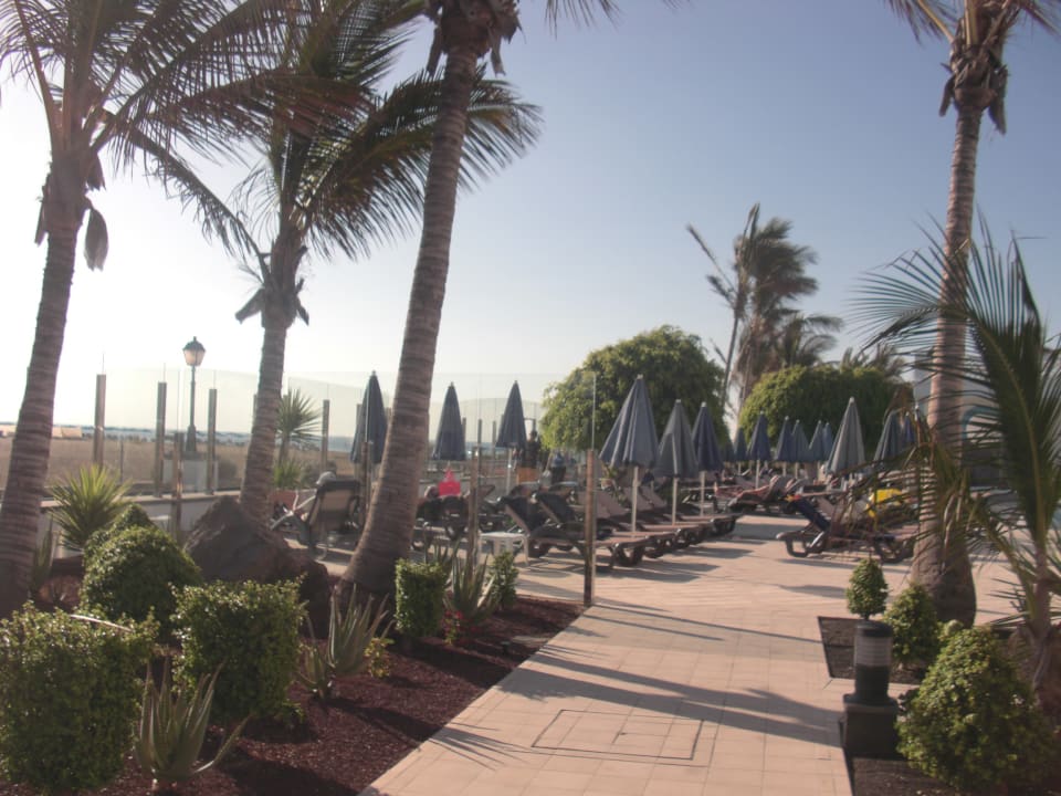 Gartenanlage Hotel Las Costas