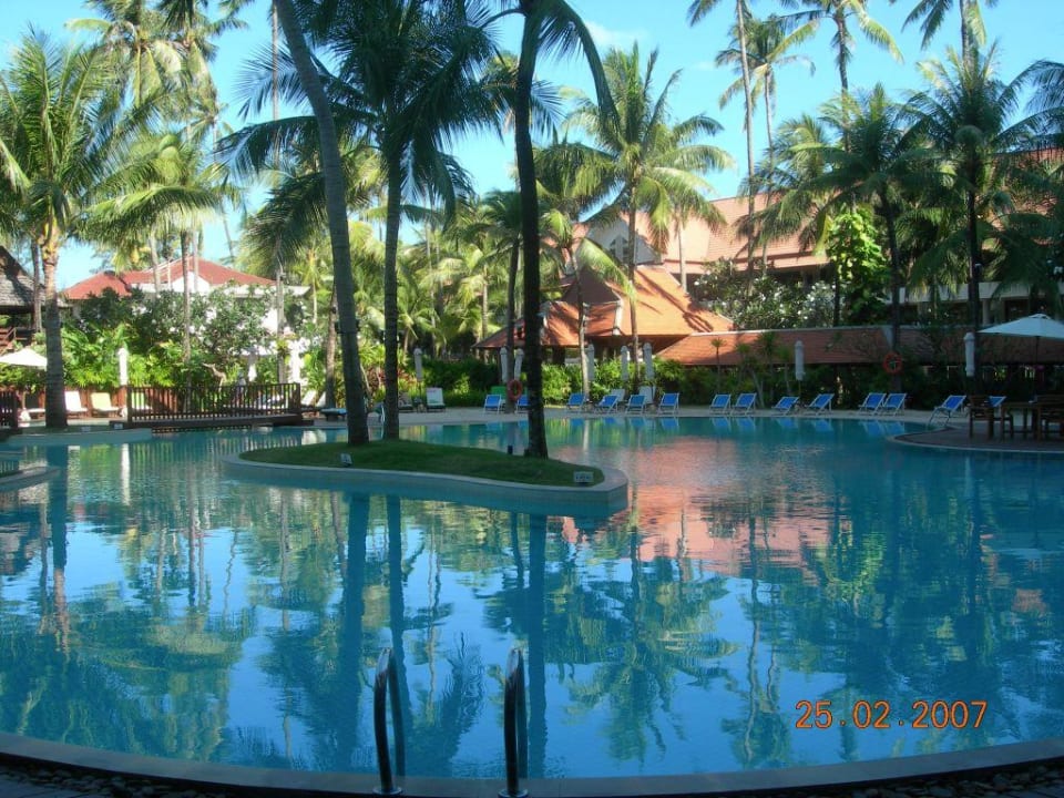 Swimmingpool Patong Beach Hotel