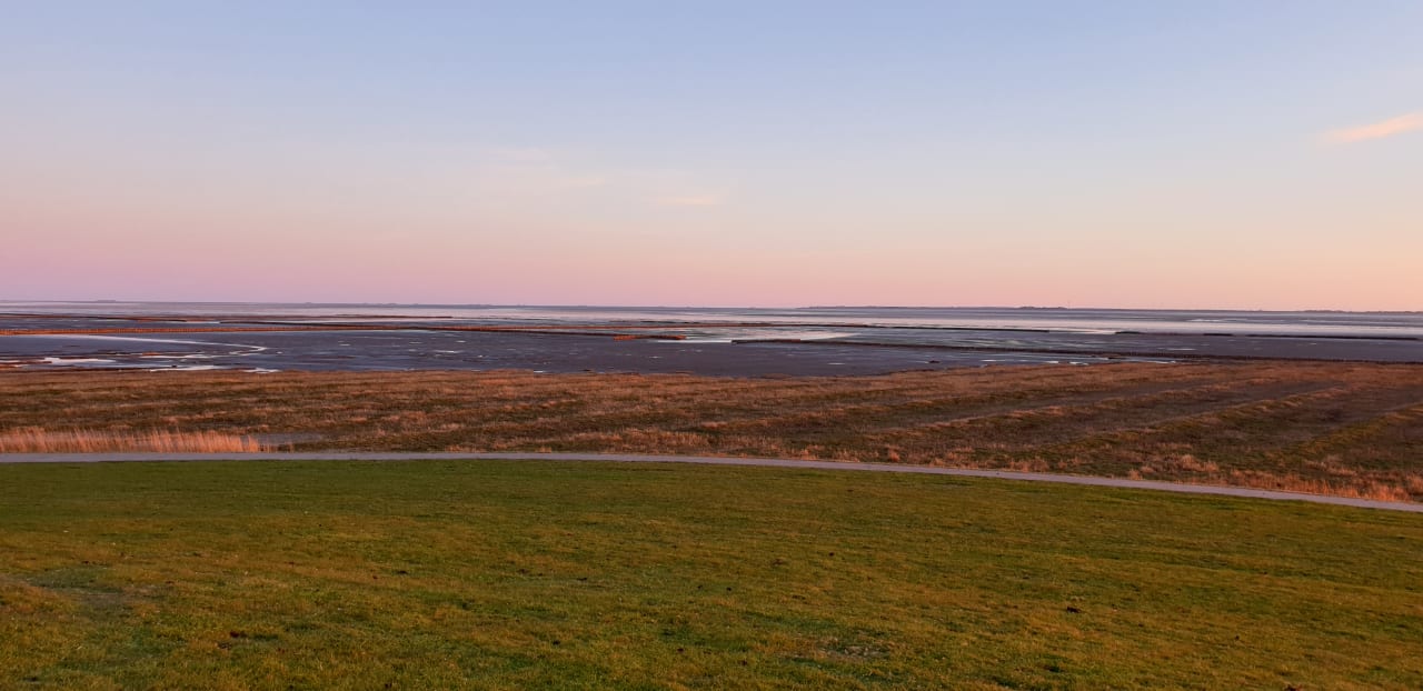 Ausblick Ferienhaus Hemenswarft direkt an der Nordsee mit Meerblick