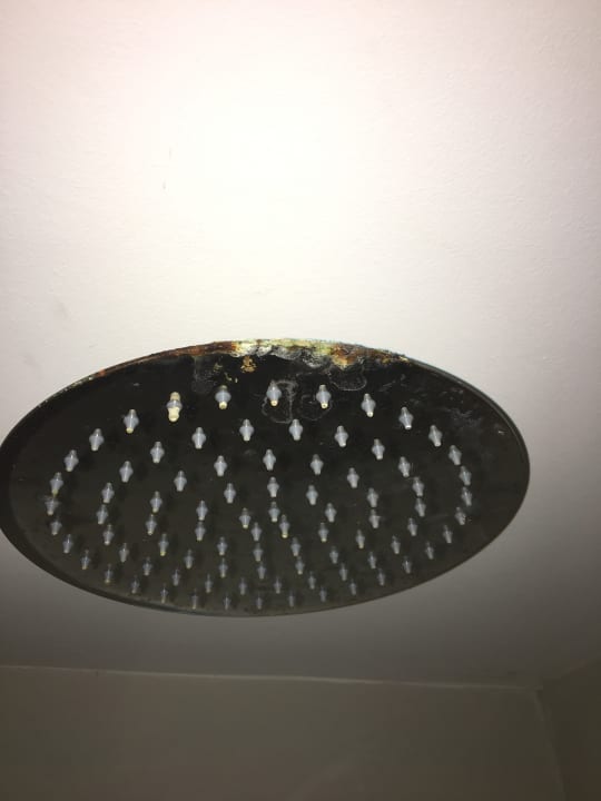 Zimmer VIVA Eden Lago