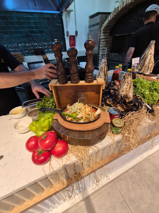 Gastro Seashell Vega