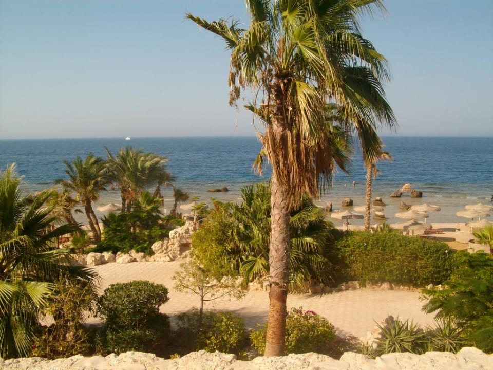 Ausblick von treppen Pickalbatros Citadel Resort