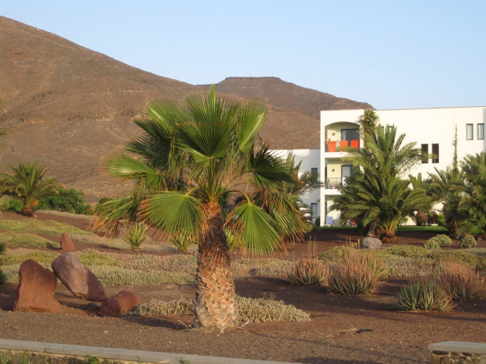Ausbilck auf Haus 7 Playitas Aparthotel
