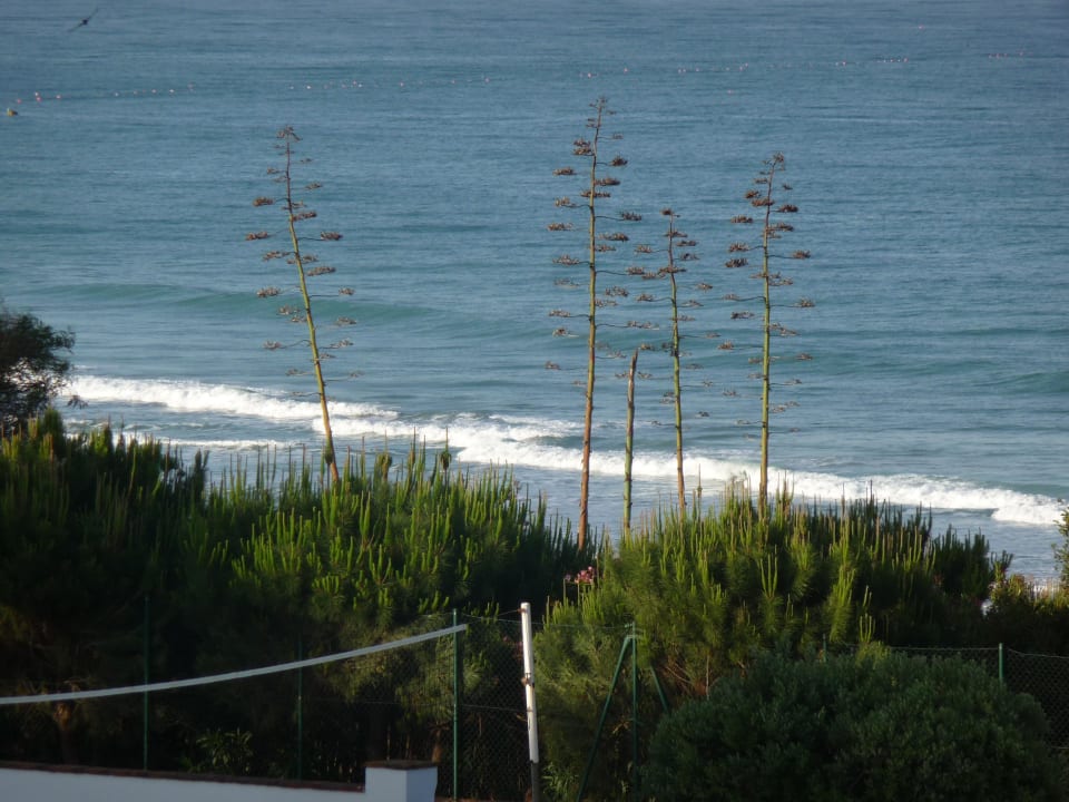 Vom Zimmer aus Strandblick Fuerte Conil-Resort