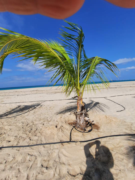 Ausblick Hotel Riu Palace Boavista
