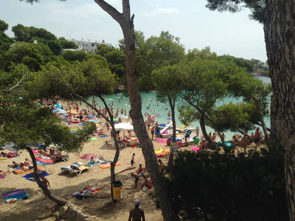 Plaża hotelowa Grupotel Rocador