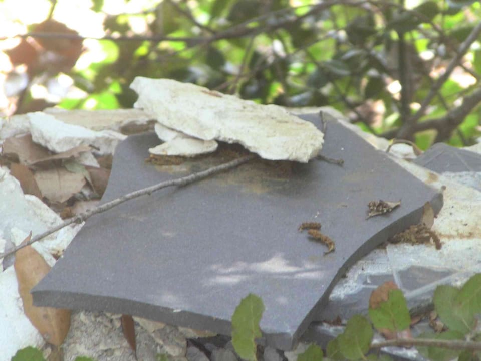 Hotel Mas Ferran Hotel Mas Ferran