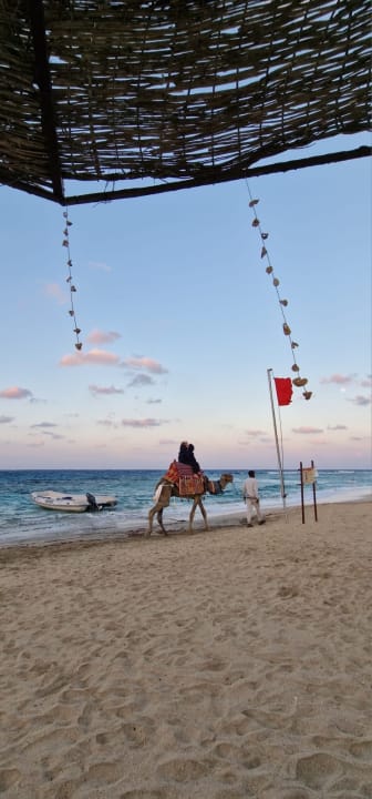 Strand Malikia Resort Abu Dabbab