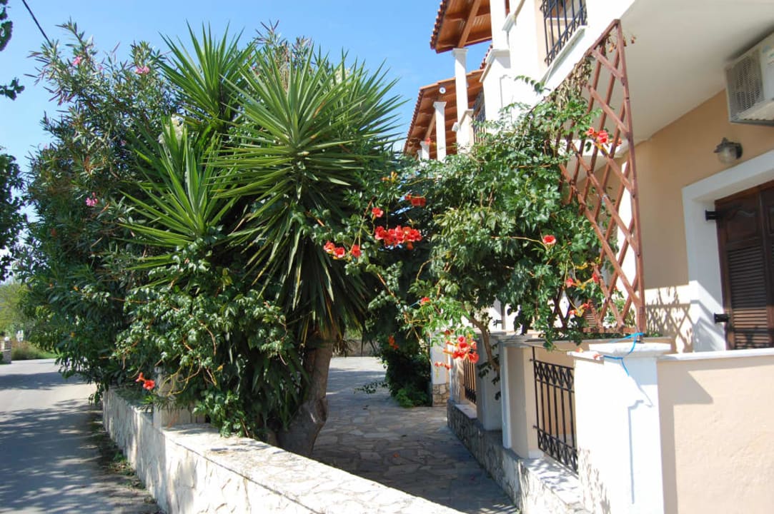 Ogród przed wejsciem Hotel Zante Village