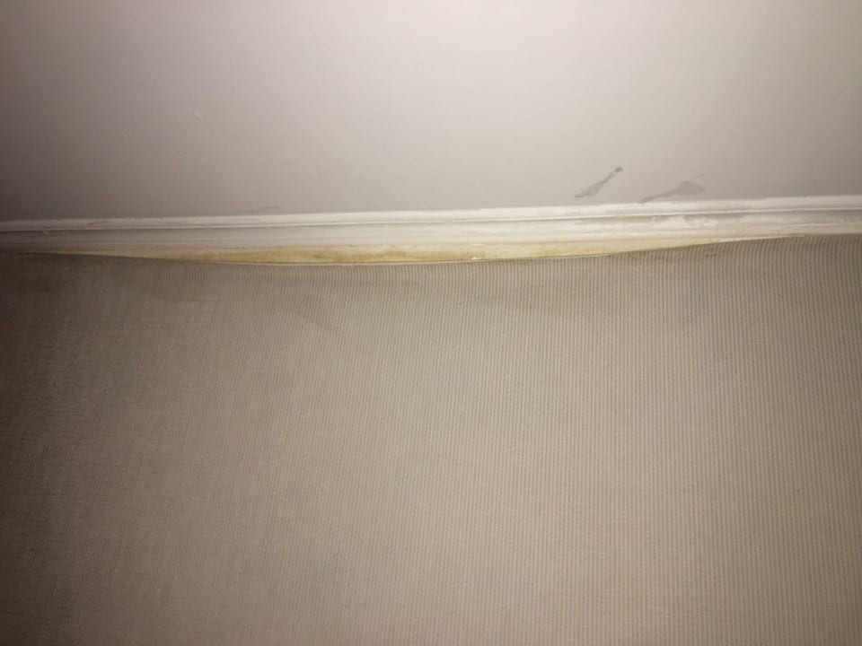 Tapete im Flur Hotel Pine Bay Holiday Resort