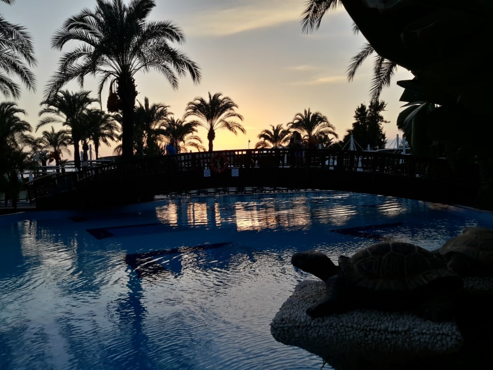 Pool Sunis Kumköy Beach Resort Hotel & Spa