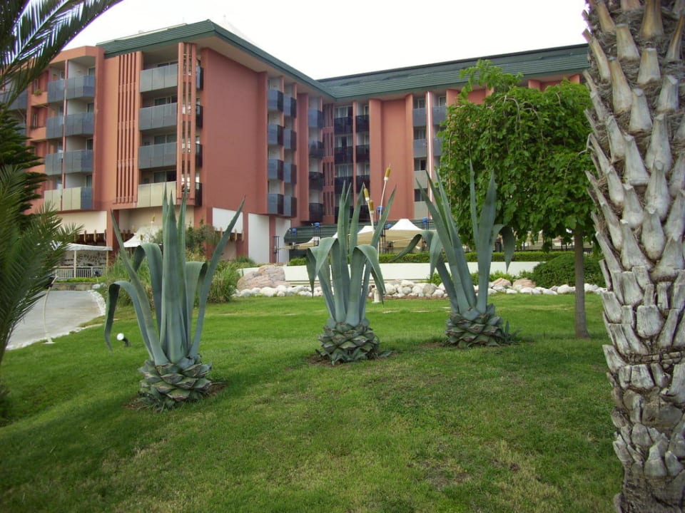 Blick zu unserem Zimmer AQI Pegasos Resort