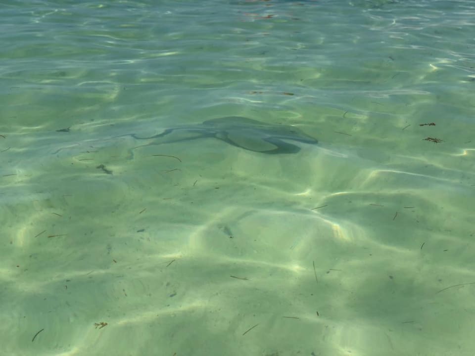 Sport & Freizeit Akumal Bay Beach & Wellness Resort