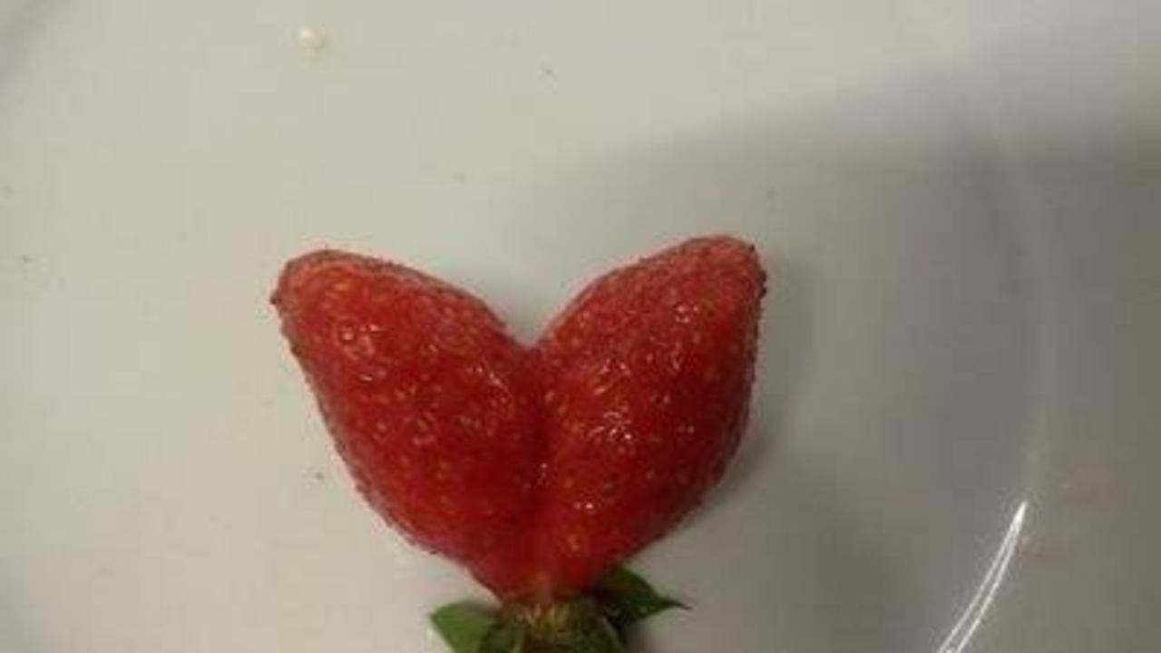 Jeden Abend frische Erdbeeren HVD Viva Club Hotel