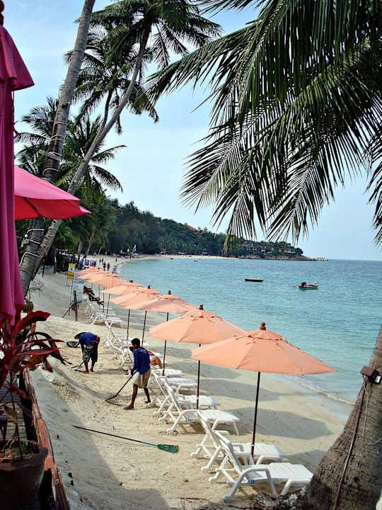 Der Strand wird täglich gesäubert Long Bay Resort Koh Phangan
