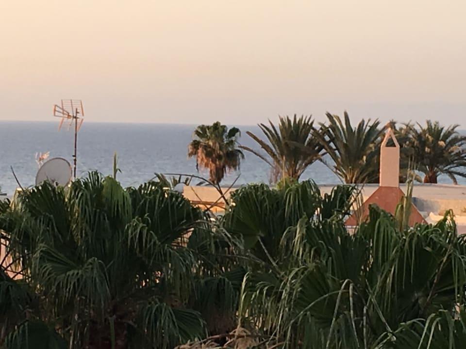 Ausblick Hotel El Palmar