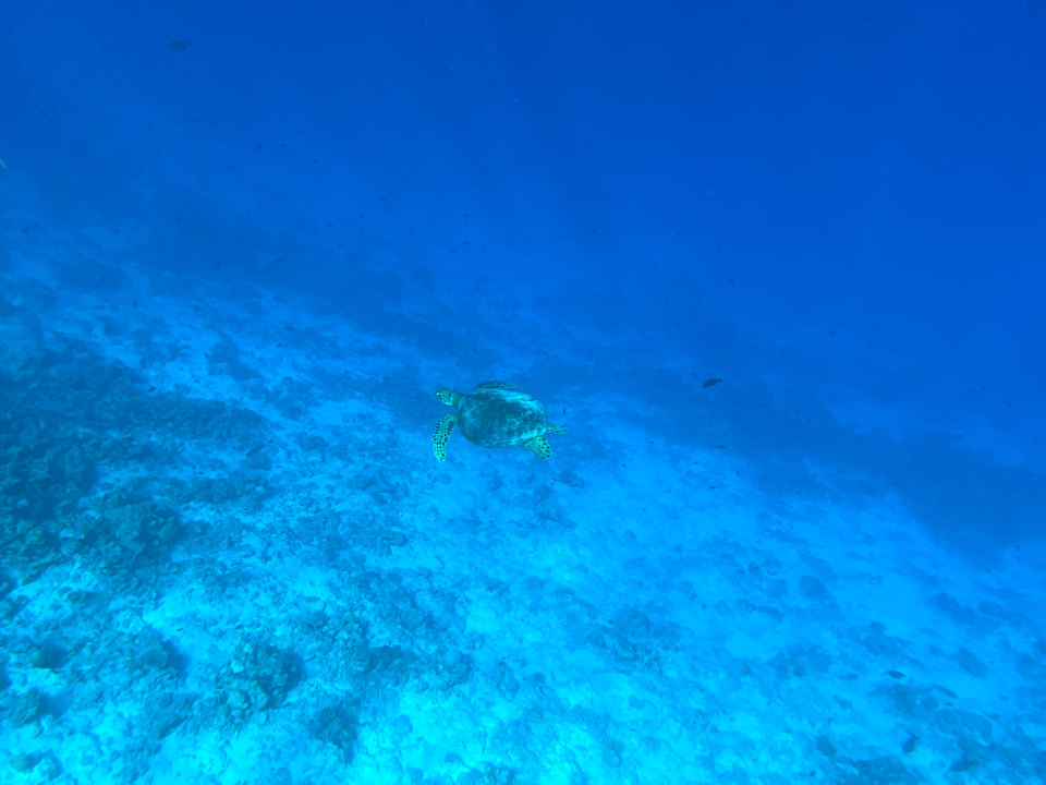 Strand Hondaafushi Island Resort