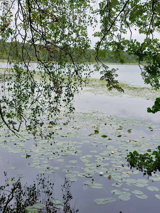 Ausblick SPA Hotel Amsee