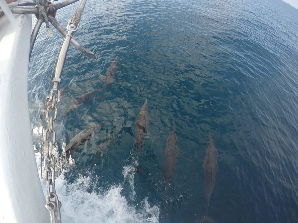 Delphine Kuredu Island Resort & Spa