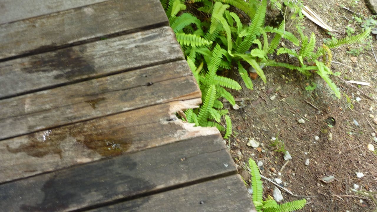 Pool Holzdielen Khaolak Bhandari Resort & Spa