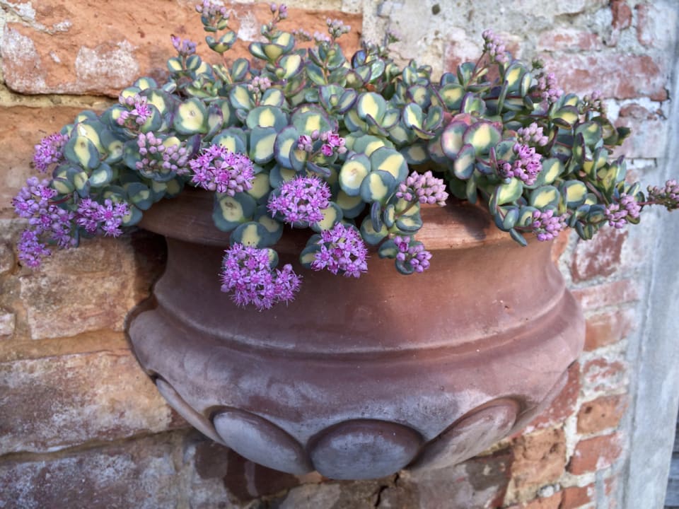 Sonstiges Ventena Vecchia antico frantoio